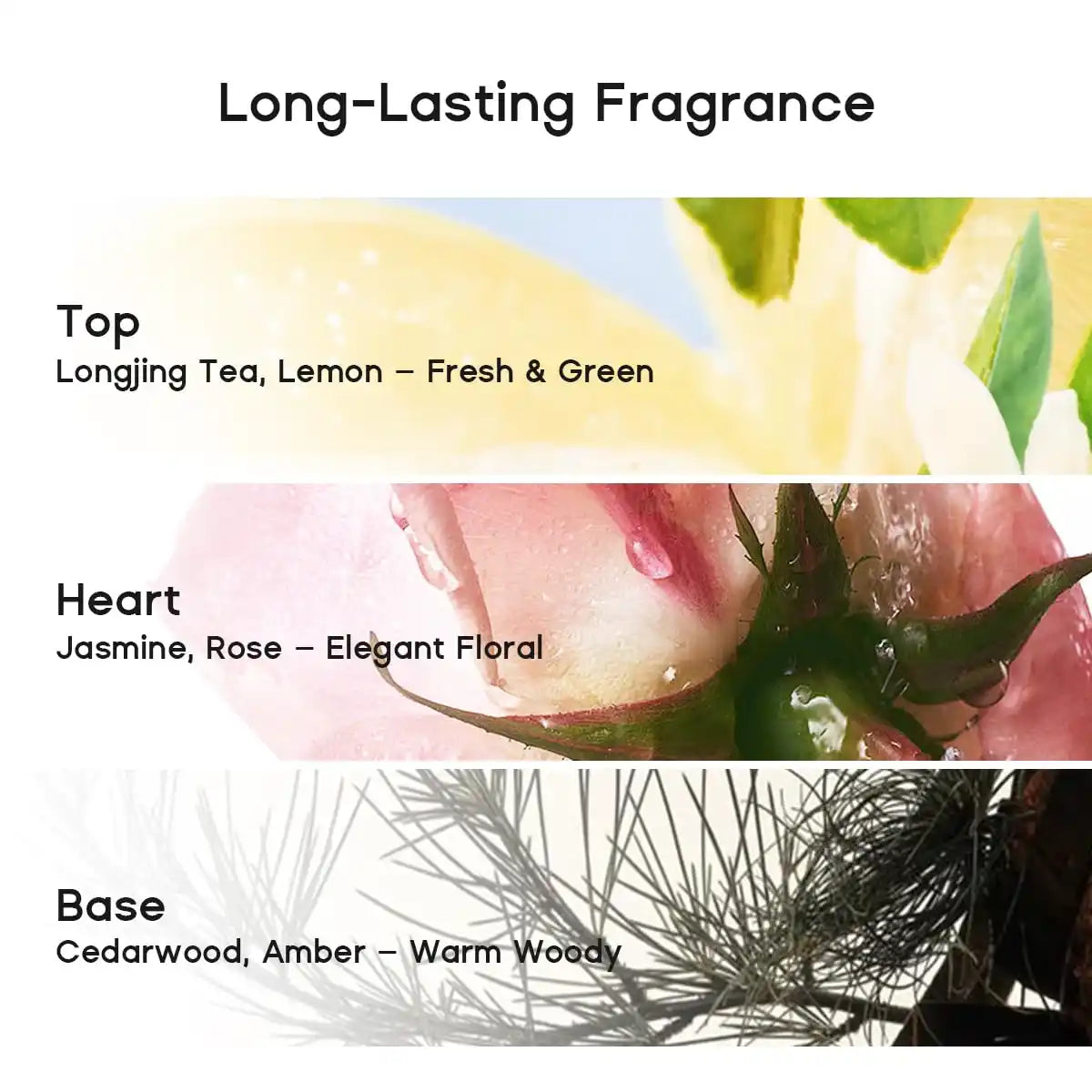 Leave-In Dry Shampoo Gel – Oil-Absorbing, Waterless Formula for Fresh, Voluminous Hair