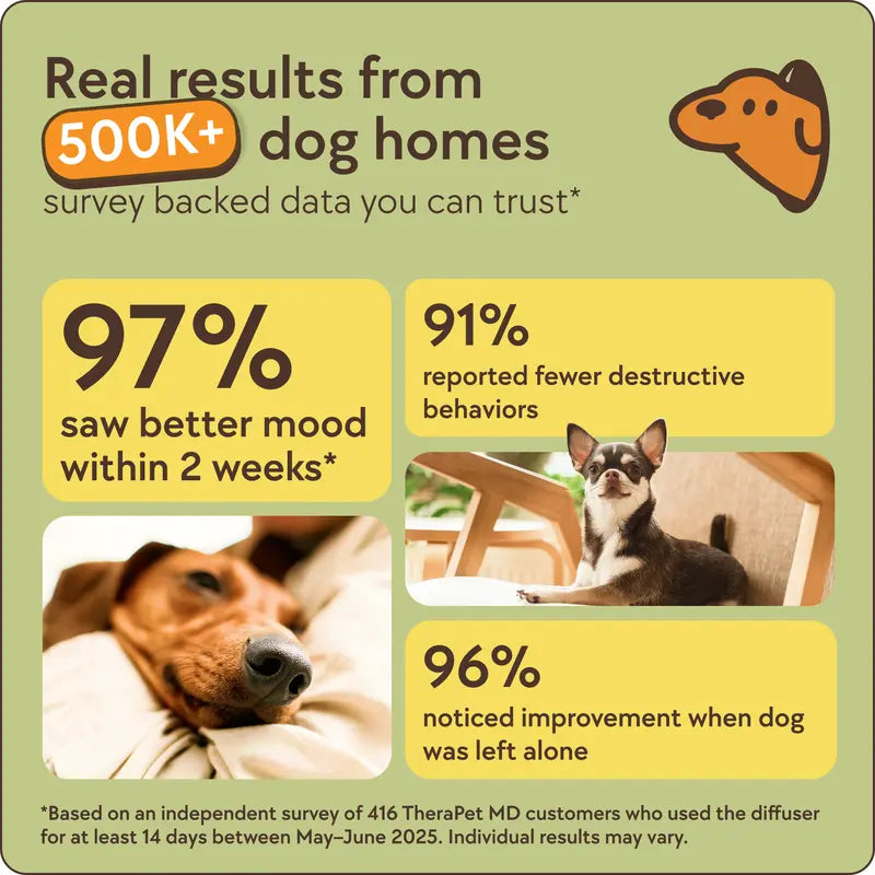 Stop Stress Barking & Indoor Accidents — Instantly Calm Your Dog 24/7