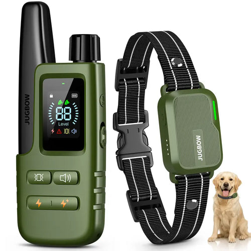 Master Your Dog's Behavior with Ease and Confidence