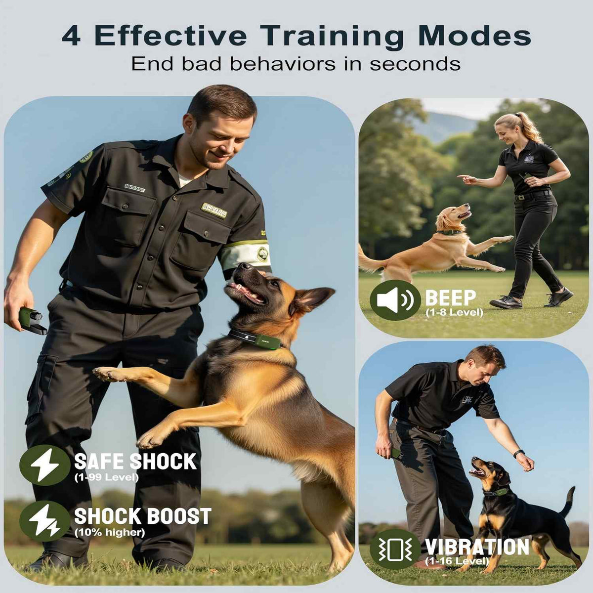 Master Your Dog's Behavior with Ease and Confidence