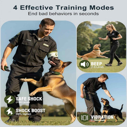 Master Your Dog's Behavior with Ease and Confidence