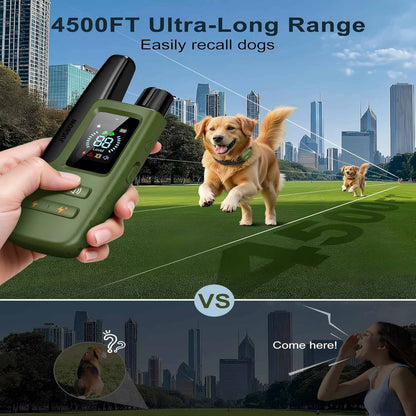 Master Your Dog's Behavior with Ease and Confidence