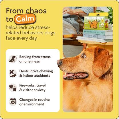 Stop Stress Barking & Indoor Accidents — Instantly Calm Your Dog 24/7