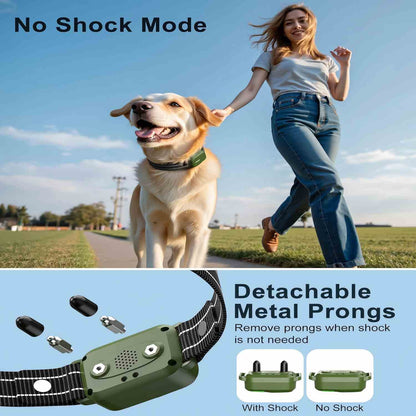 Master Your Dog's Behavior with Ease and Confidence