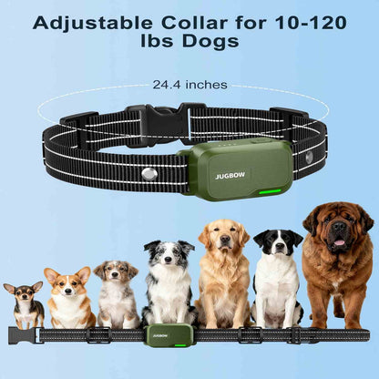 Master Your Dog's Behavior with Ease and Confidence