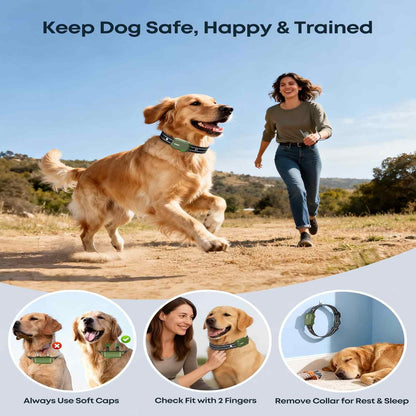 Master Your Dog's Behavior with Ease and Confidence