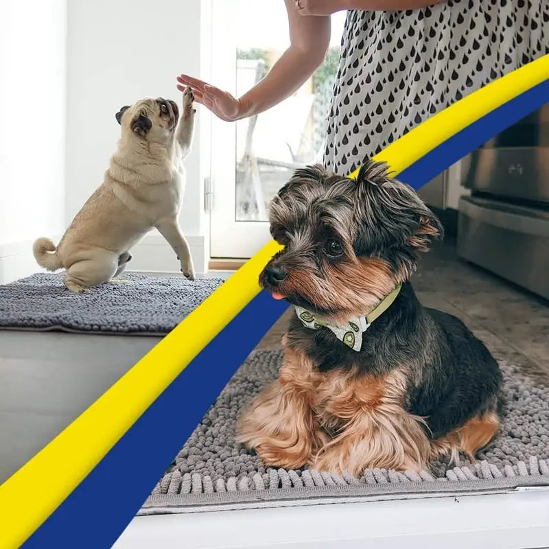 Stop Muddy Paws & Dirty Floors Instantly
