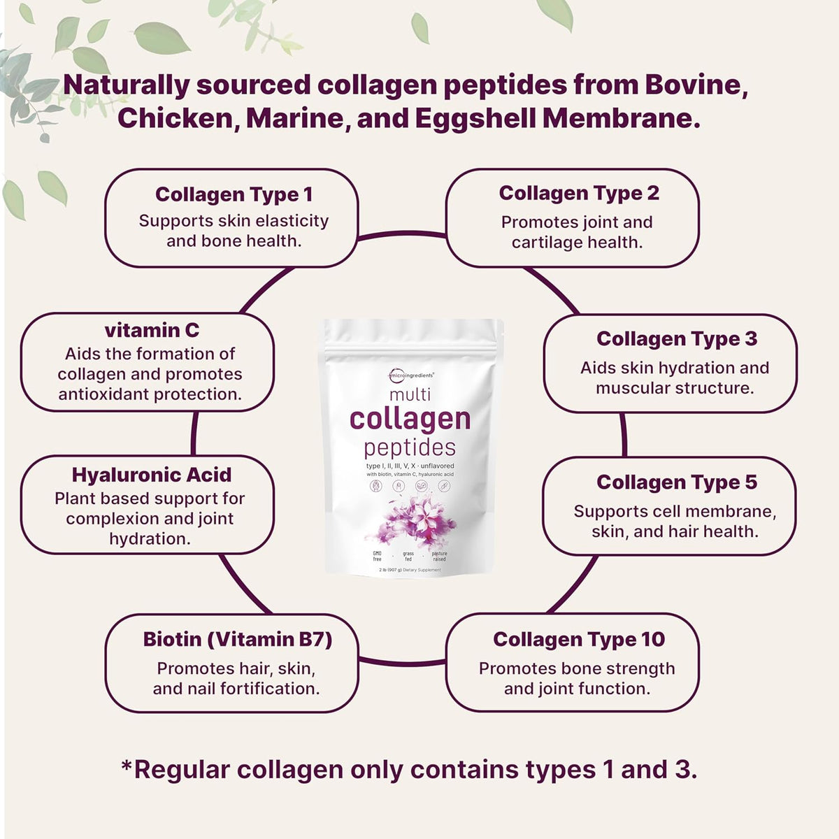 Multi Collagen Peptides Powder for Skin, Hair, Nails & Joints