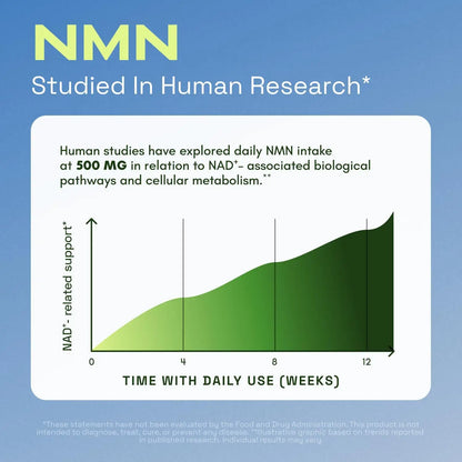 NMN Supplement – 1000mg 4-In-1 Synergistic Complex For Cellular Energy & Healthy Aging