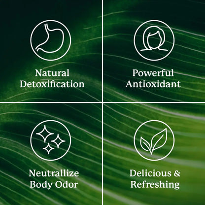 Extra Strength Chlorophyll Lime Twist Sticks for Daily Detox & Fresh Confidence