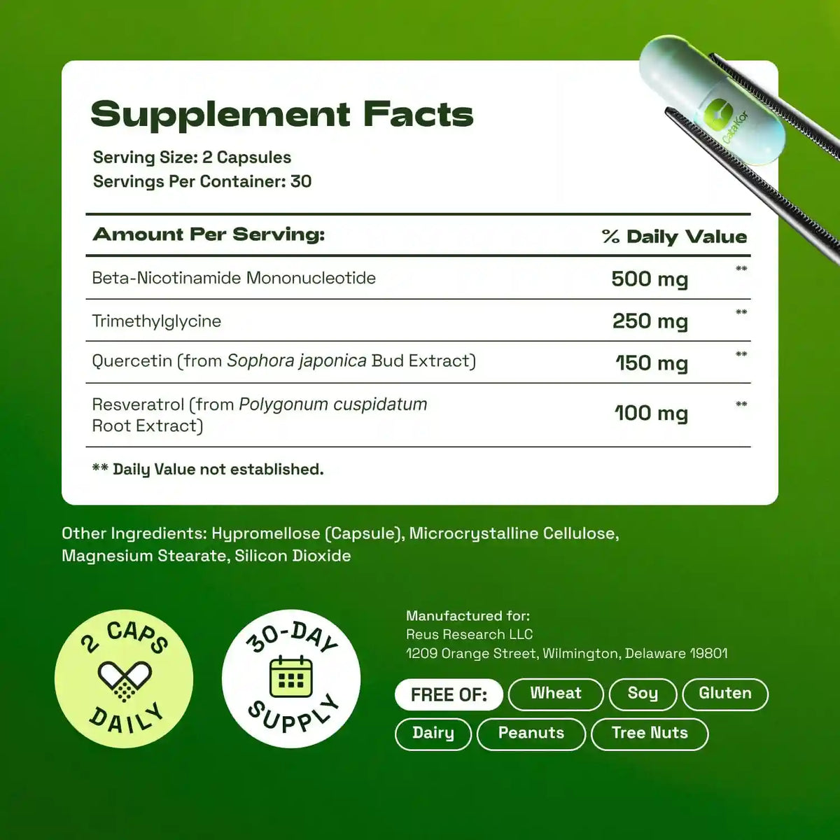 NMN Supplement – 1000mg 4-In-1 Synergistic Complex For Cellular Energy & Healthy Aging