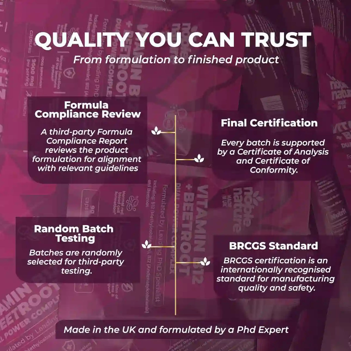 Vitamin B12+Beetroot Capsules – 9000mg High-Absorption Energy Support & Peak Fatigue Reduction