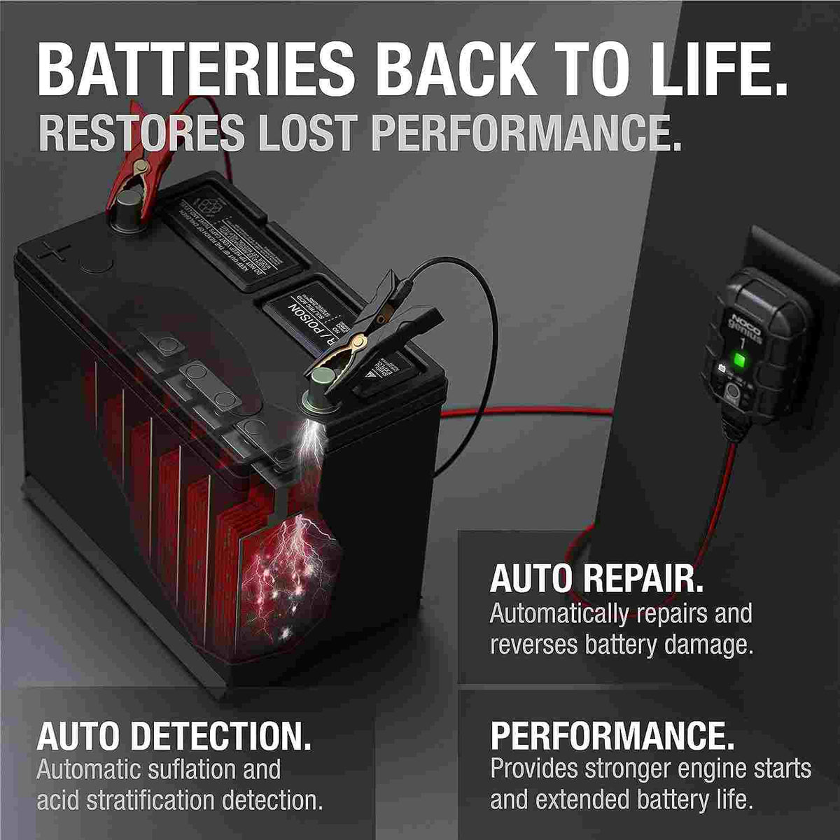 Smart 6V & 12V Battery Charger, Maintainer & Desulfator for Car, Motorcycle & Marine